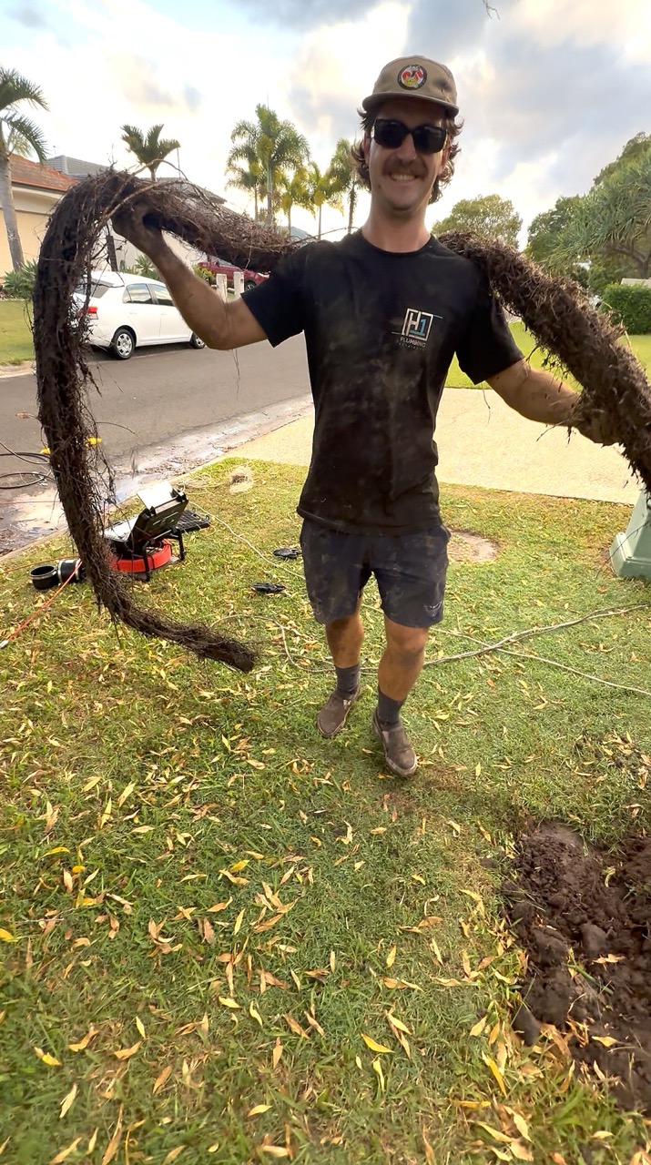 Tree roots pulled from a blocked drain by H1 Plumbing & Drainage